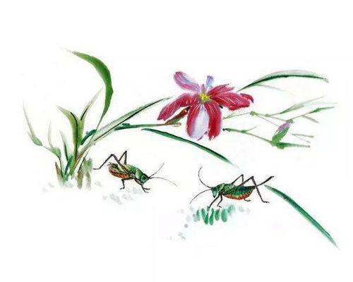 描寫(xiě)蟲(chóng)的詩(shī)句古詩(shī)蜂