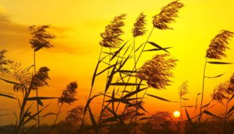 關(guān)于古典夕陽(yáng)和秋天的詩(shī)句