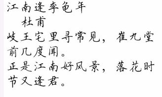 關(guān)于烏龜的詩(shī)句及釋義