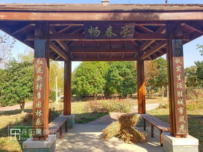 描寫(xiě)山的古詩(shī)句,描寫(xiě)冬天的古詩(shī)句,描寫(xiě)春節的古詩(shī)句