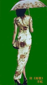 雨后的樹(shù)林古詩(shī)句