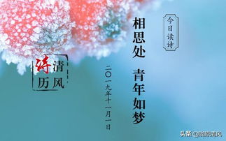 關(guān)于落木的詩(shī)句及形象