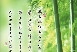 關(guān)于逆境成功名言詩(shī)句