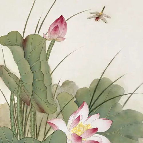 含有荷花的古詩(shī)句.