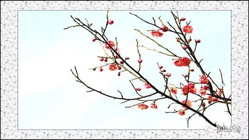 形容友誼長(cháng)久的詩(shī)句古詩(shī)詞,關(guān)于幸福的詩(shī)句古詩(shī)詞,形容失眠的詩(shī)句古詩(shī)詞