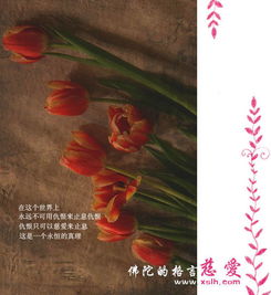 關(guān)于佛的詩(shī)句名言空碷佛門(mén)