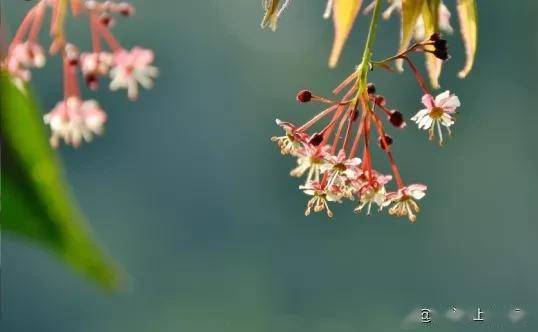 關(guān)于再見(jiàn)的詩(shī)句春風(fēng)