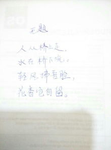 詩(shī)句,放蕩,隨便