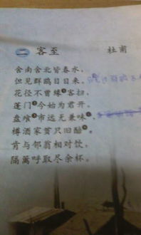 關(guān)于同問(wèn)的詩(shī)句