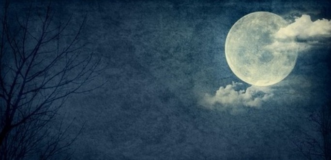 關(guān)于你的月亮的詩(shī)句