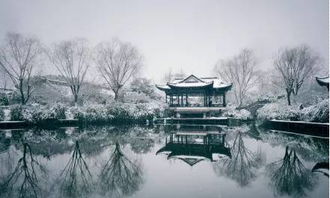 關(guān)于游子夢(mèng)的詩(shī)句