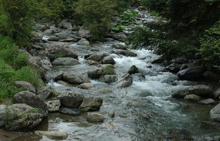 關(guān)于春日小溪的詩(shī)句