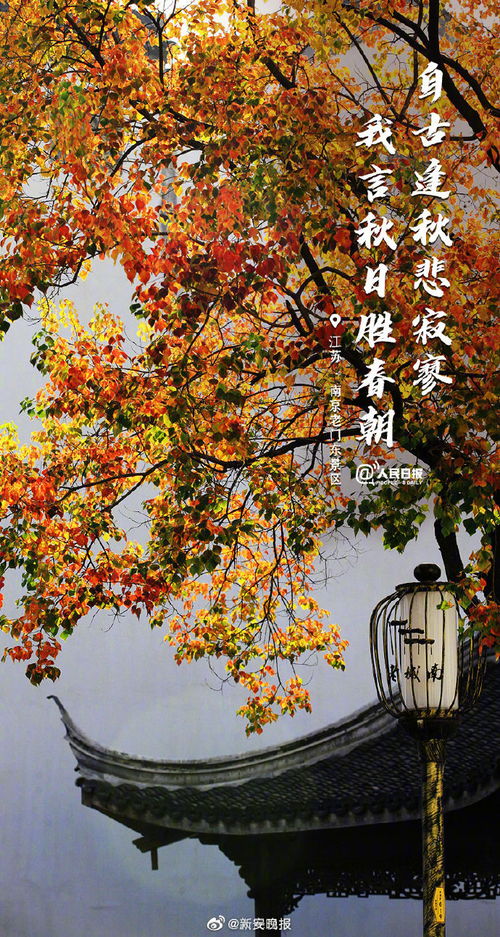 秋景,古詩(shī)詞,江南,詩(shī)句