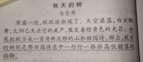 含名言或詩(shī)句的作文開(kāi)頭