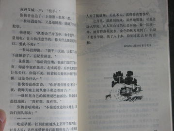 青澀華作文開(kāi)頭