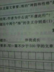 初三友情親情作文開(kāi)頭結尾