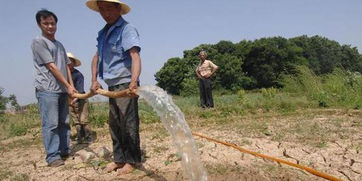 關(guān)于撥款抗旱的請示(解決抗旱資金的請示)