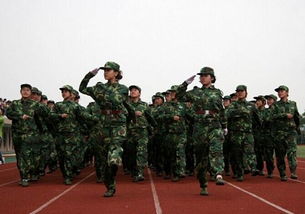 軍人軍訓個(gè)人自我鑒定(軍人自我鑒定)