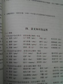 以做夢(mèng)作文開(kāi)頭的想象作文,做夢(mèng)穿越的作文,描寫(xiě)做夢(mèng)的作文開(kāi)頭