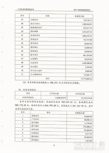 公司財務(wù)審計報告(公司財務(wù)收支審計報告)