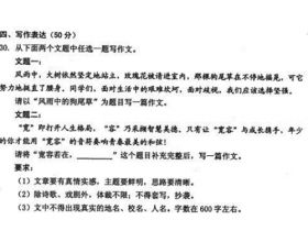 鄉土文化作文題目和開(kāi)頭