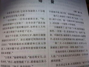 父母雨中送傘的作文開(kāi)頭