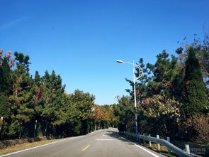 回憶美好的生活的作文開(kāi)頭