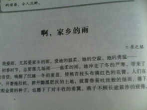 以雨字為開(kāi)頭寫(xiě)一篇作文