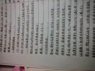 紅樓夢(mèng)讀書(shū)報告(紅樓夢(mèng)讀書(shū)心得)