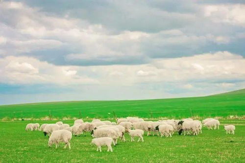 初中最美的風(fēng)景500字作文開(kāi)頭結尾