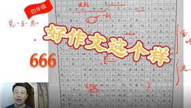 一個(gè)特別的春節作文開(kāi)頭