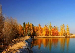 關(guān)于金秋十月的作文開(kāi)頭