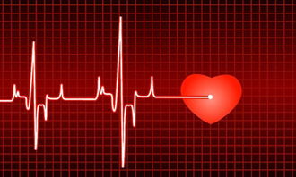 傾聽(tīng)自己的心跳作文開(kāi)頭