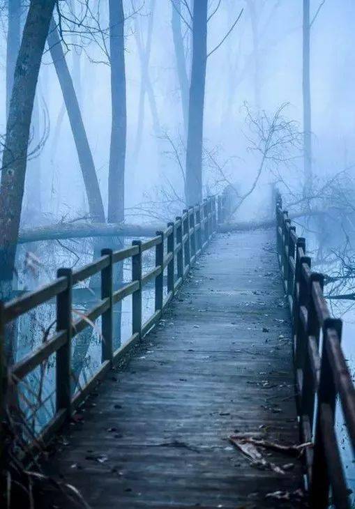 以溫暖的陽(yáng)光作文開(kāi)頭結尾