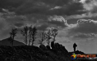 守望為話(huà)題的作文開(kāi)頭