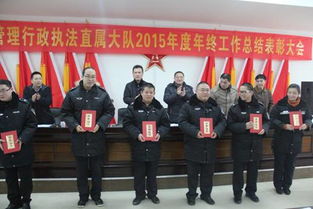 執法大隊年終總結(綜合執法大隊年終總結)