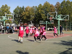 籃球賽作文開(kāi)頭秋天