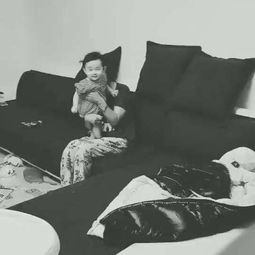 我最崇拜我的父親作文開(kāi)頭