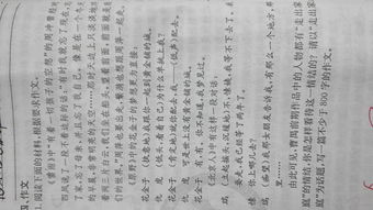 回味照片800字作文開(kāi)頭