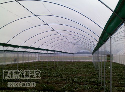 蔬菜大棚的建設技術(shù)(蔬菜大棚實(shí)習目的)