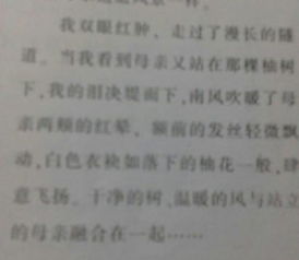 寫(xiě)人親情敘事作文開(kāi)頭結尾摘抄大全