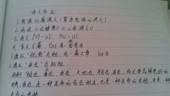 作文找回我失去的800字作文開(kāi)頭