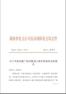 公司資金申請報告范文(年資金申請報告范文)