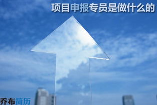 項目申報專(zhuān)員簡(jiǎn)歷范文(項目申報專(zhuān)員工作內容)