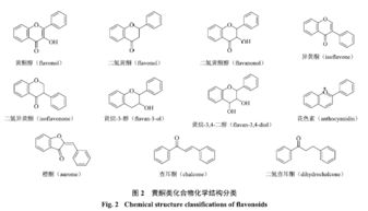 黃酮類(lèi)化合物的提取與分離方法綜述論文(Vsp記錄的波場(chǎng)分離方法綜述)