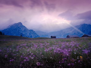 寫(xiě)自然美景的作文開(kāi)頭