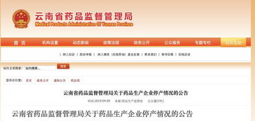 關(guān)于公司的停產(chǎn)報告(關(guān)于公司的學(xué)習報告)