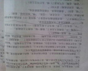 關(guān)于歷史的作文的開(kāi)頭