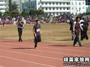 一次精彩的運動(dòng)會(huì )的作文開(kāi)頭結尾