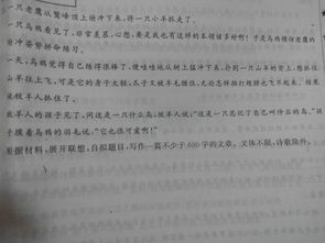 作文,開(kāi)頭,想象